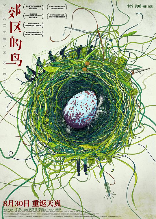 郊区的鸟封面图