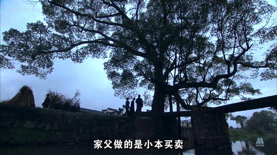 烽火岁月封面图