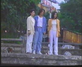 猛龙特警之天罗地网粤语版封面图