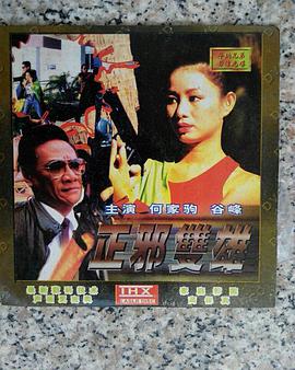 正邪双雄封面图