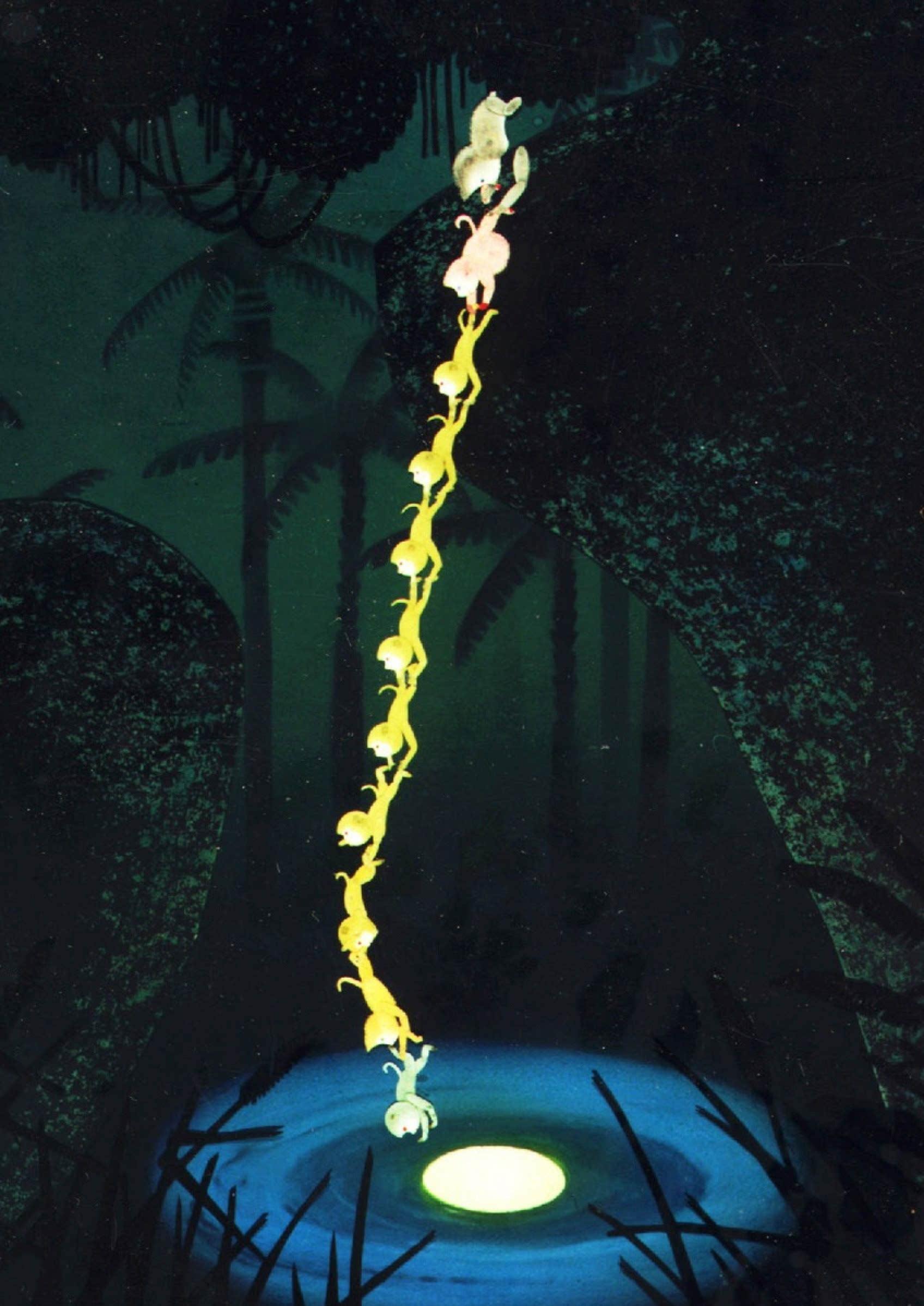 猴子捞月封面图