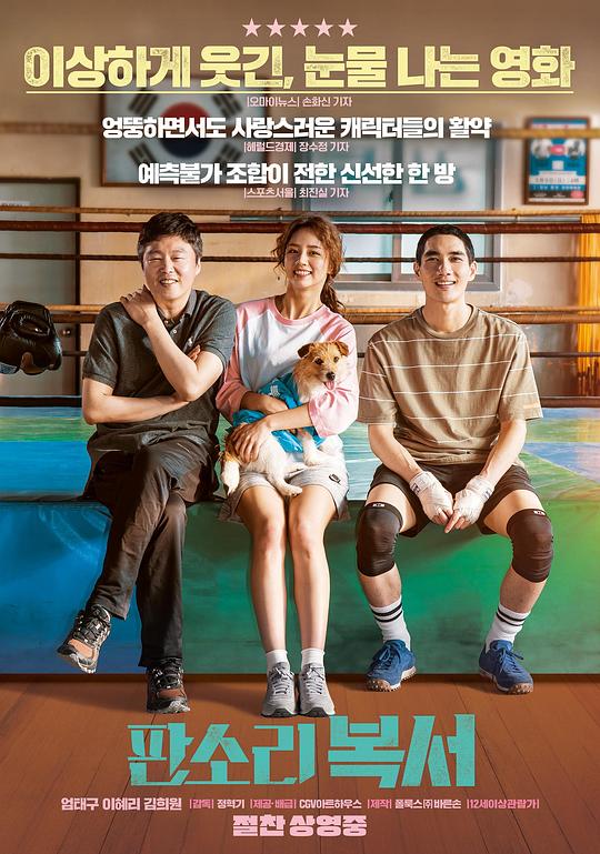 盘索里拳击手封面图