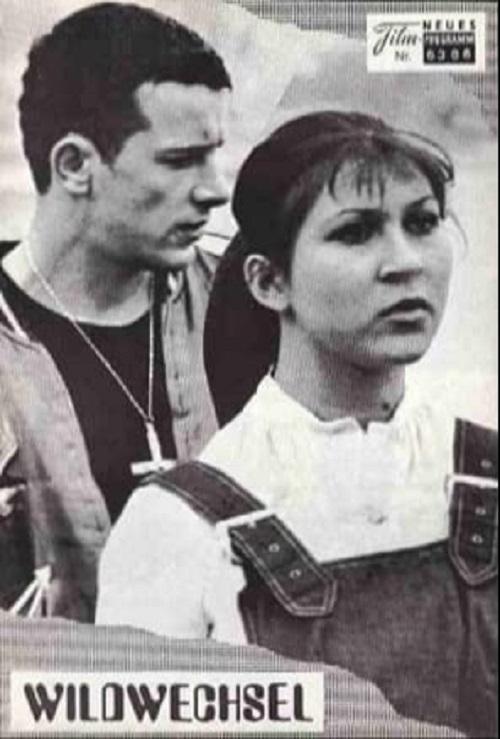 野蛮游戏封面图