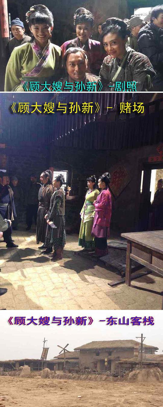 顾大嫂与孙新封面图