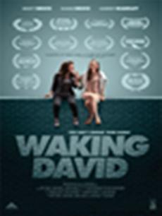 唤醒戴维封面图