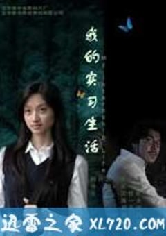 我的实习生活封面图