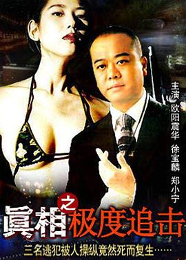 真相之极度追击封面图