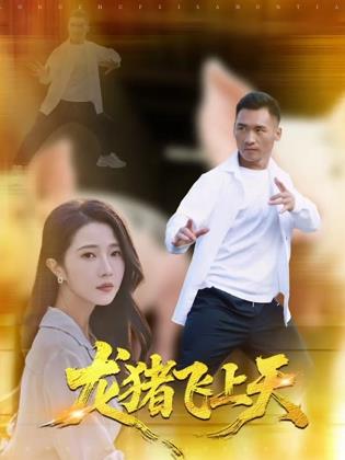龙猪飞上天封面图